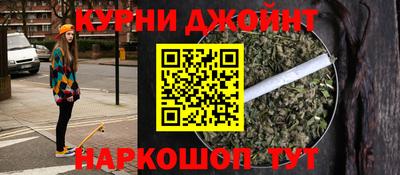 сатива Новокубанск