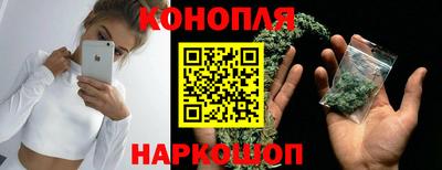 сатива Новокубанск