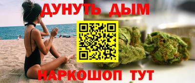 сатива Новокубанск