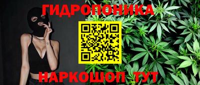 сатива Новокубанск