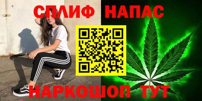 прущие грибы Наро-Фоминск