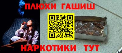 сатива Новокубанск