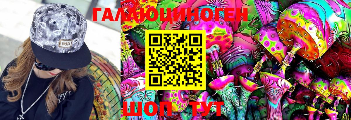 Псилоцибиновые грибы Cubensis Удомля